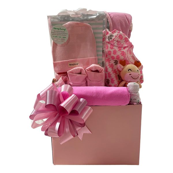 Baby Girl Baskets and Baby Girl Gift Ideas Boodles of Baskets