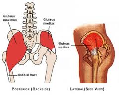 Posterior Backside