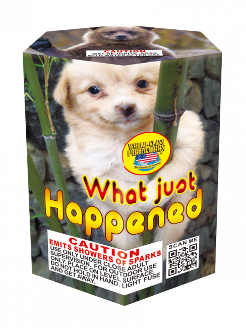 Fireworks