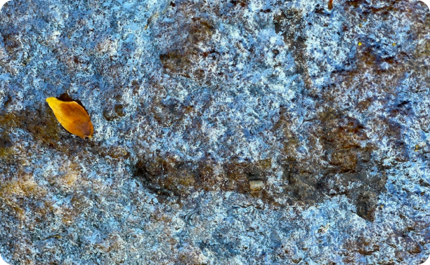 Fine Art Image